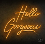 'Hello Gorgeous' Neon Sign - Shinedere